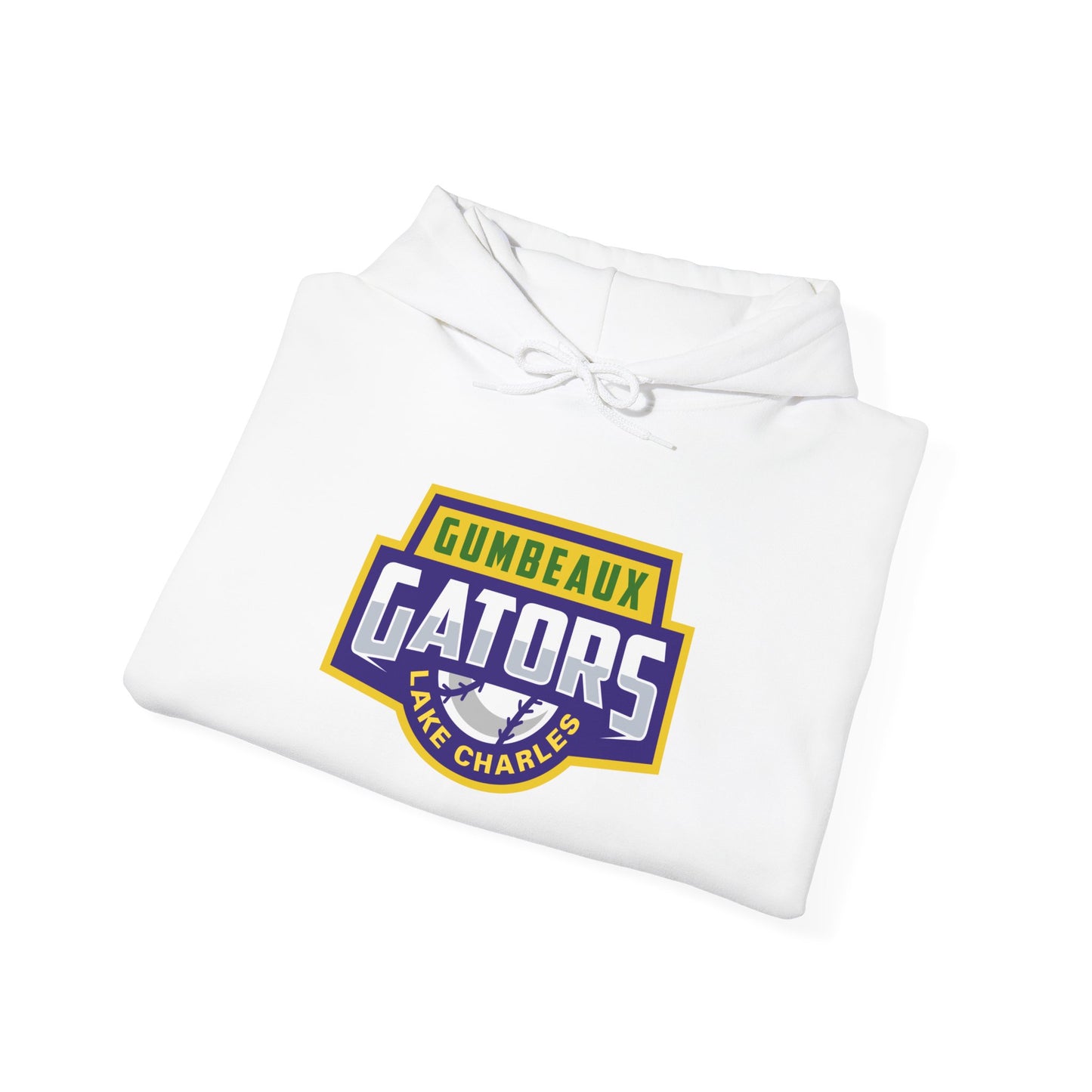 Wordmark Logo Heavy Blend™ Hooded Sweatshirt