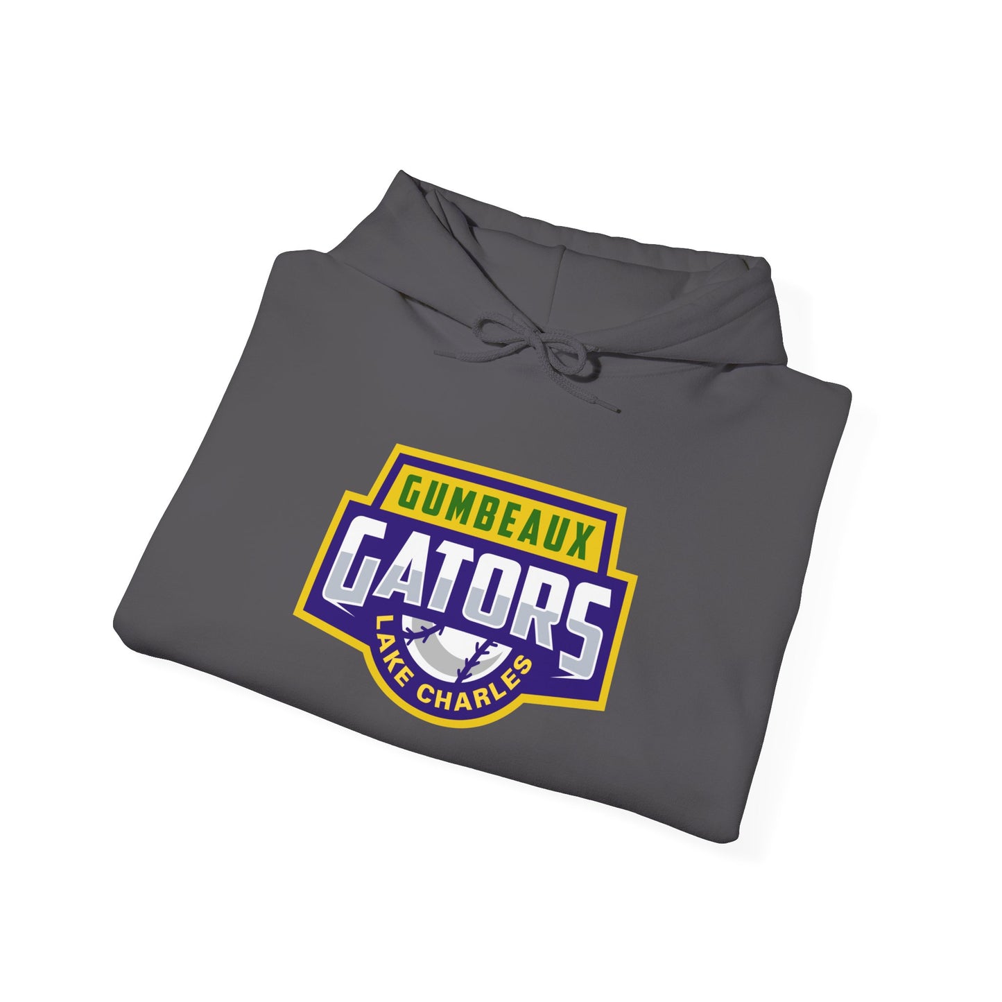 Wordmark Logo Heavy Blend™ Hooded Sweatshirt