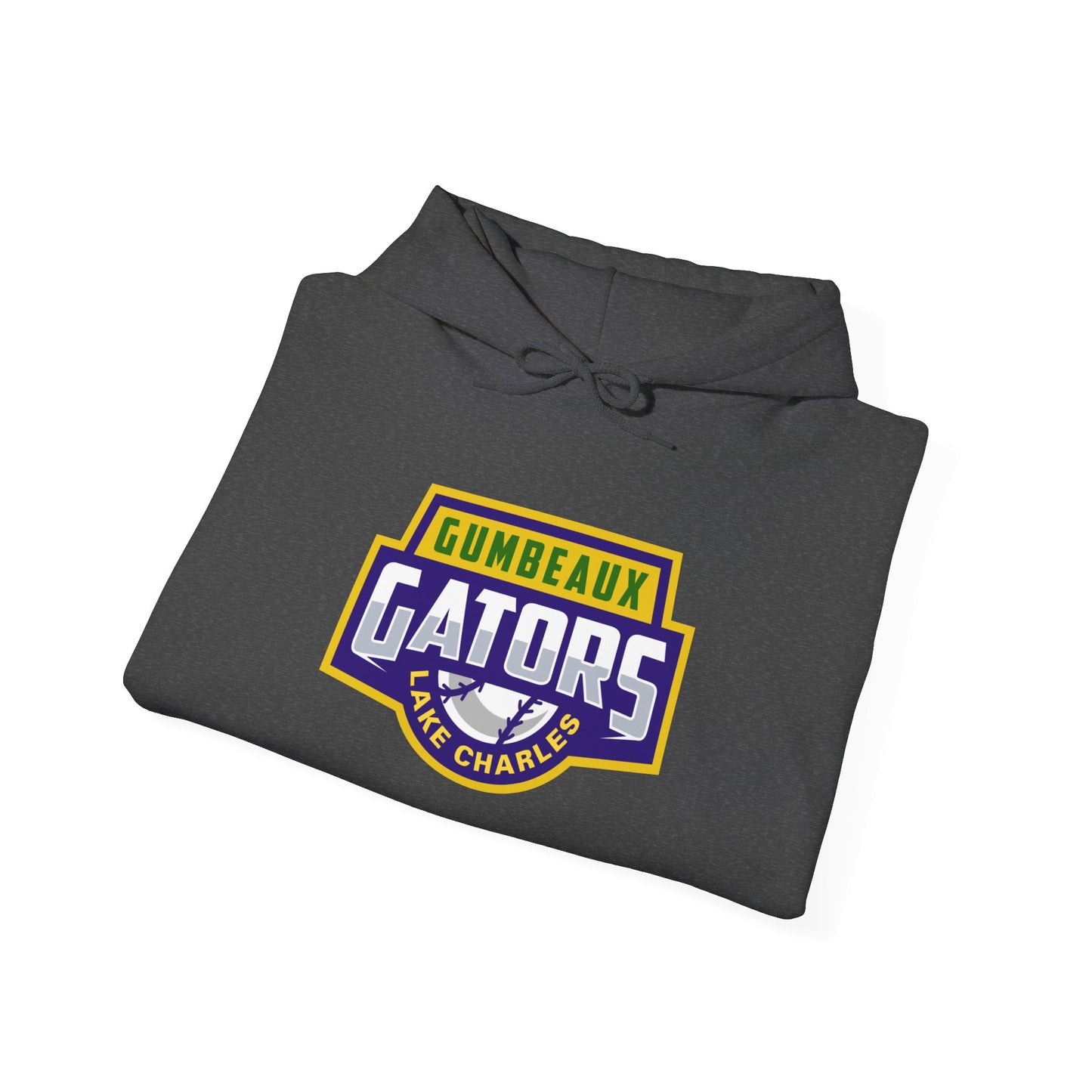Wordmark Logo Heavy Blend™ Hooded Sweatshirt