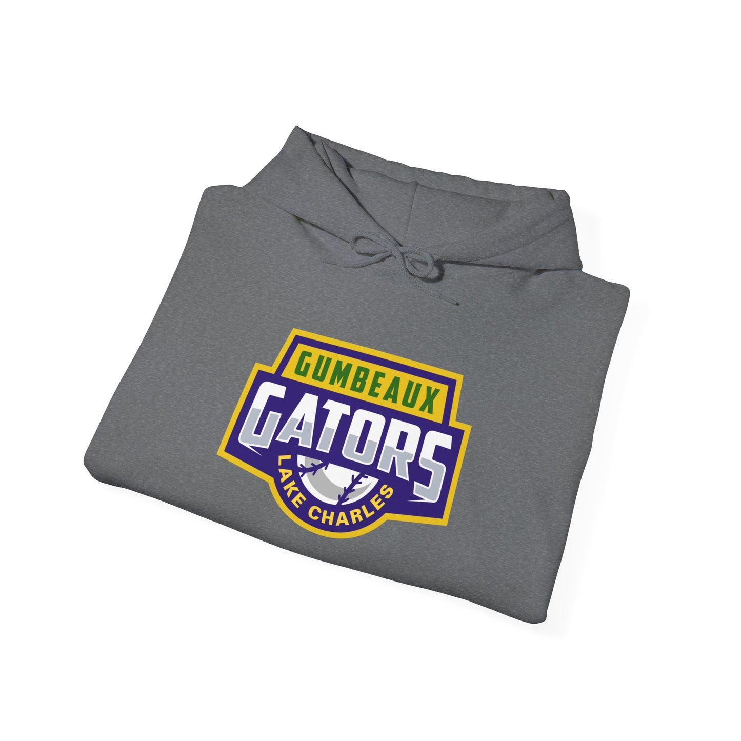 Wordmark Logo Heavy Blend™ Hooded Sweatshirt
