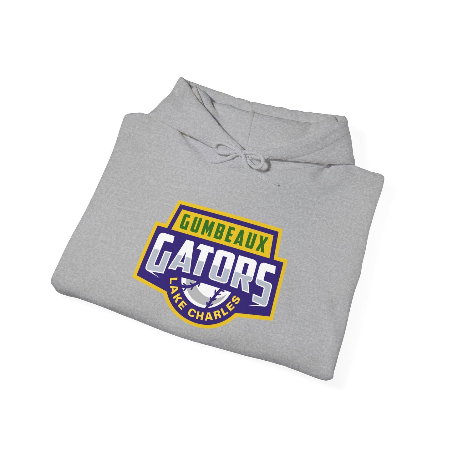 Wordmark Logo Heavy Blend™ Hooded Sweatshirt
