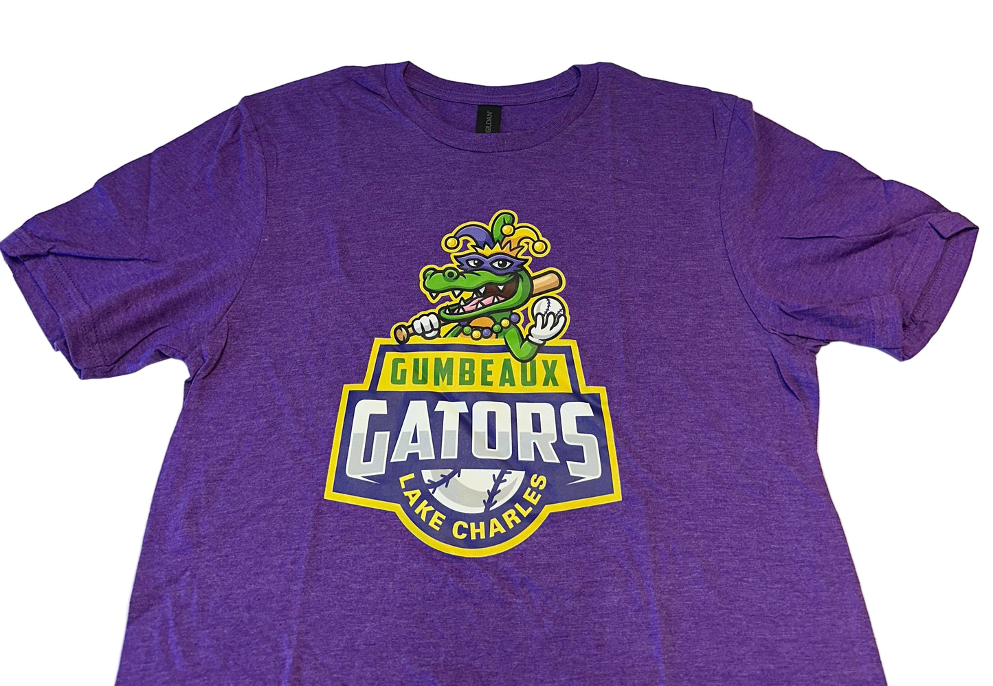 Purple Gildan Softstyle Full Logo T-Shirt